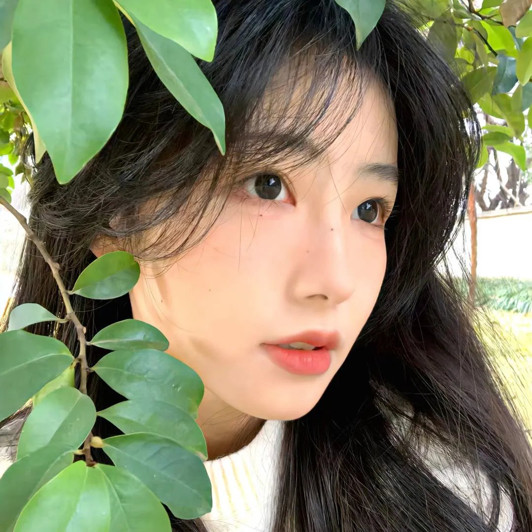 致真理 在线观看封面