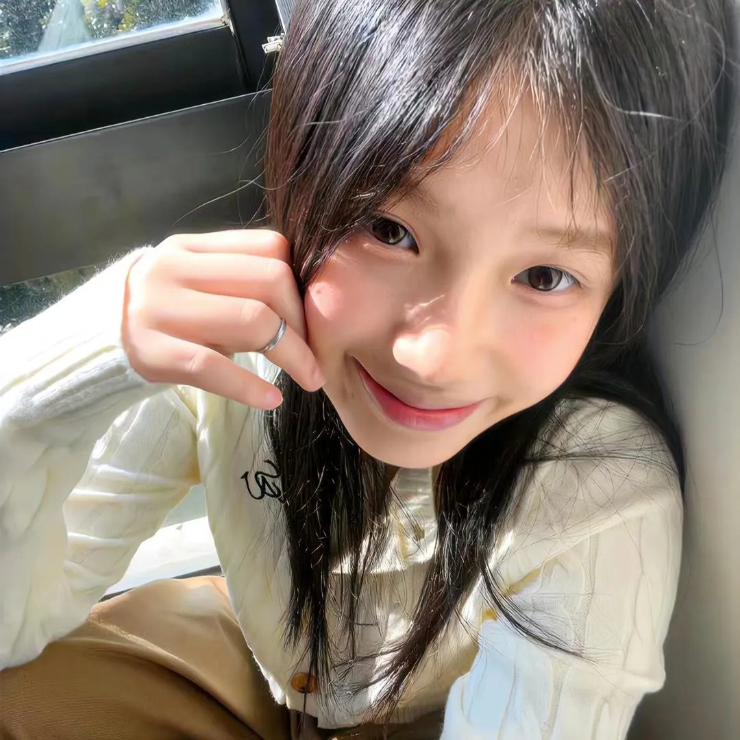 斑马人2:斑马城的逆袭 在线观看封面